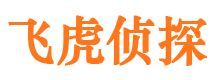 泾源外遇取证